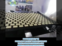 A~Z 비스키트 라인 완전 자동 비스키트 처리 라인 500kg/H 비스키트 제조 장비