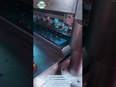 PD1000 완전 자동 듀플 컬러 쿠키 생산 라인